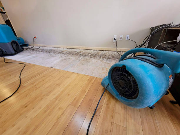 Professional Water Damage Repair technician working in Greenville, NC